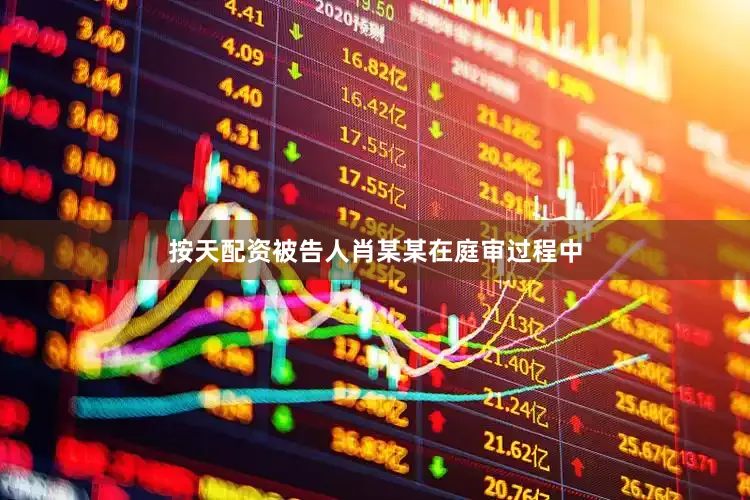 按天配资被告人肖某某在庭审过程中