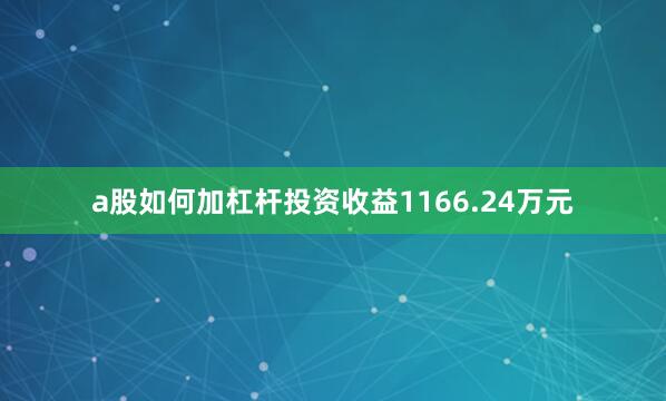 a股如何加杠杆投资收益1166.24万元