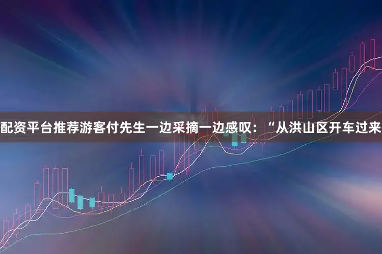 配资平台推荐游客付先生一边采摘一边感叹：“从洪山区开车过来