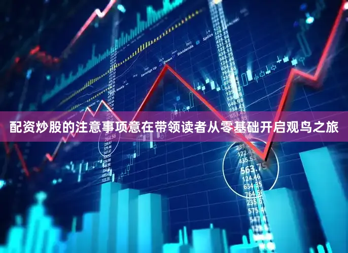 配资炒股的注意事项意在带领读者从零基础开启观鸟之旅